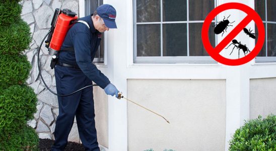 Baskil Hamam Böceği İlaçlama böcek ilaçlama ve haşere kontrolü — ilaclama-tr.com